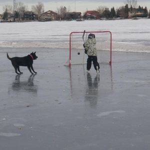 Meet your Posher, Kristin